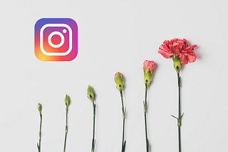 The Instagram logo next to flowers in different stages of growth.