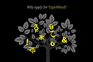 Why Apply for TypeWknd?