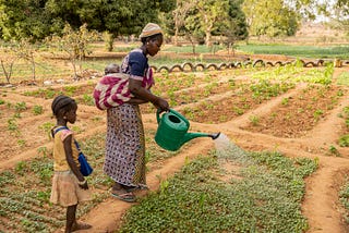 From internally displaced person to independent market gardener, the example of Kadi and her…