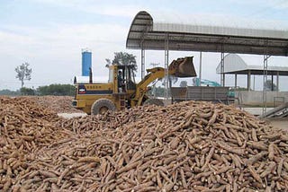 CASSAVA COMMERCIAL PROCESSING, PACKAGING AND EXPORTS