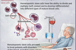 Baby Stem Cell Storage Market with Tremendous growth by 2031 — Cryo-Cell, Smart Cells, Cryolife