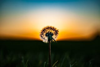 You can’t be a great ux designer without good communication skills