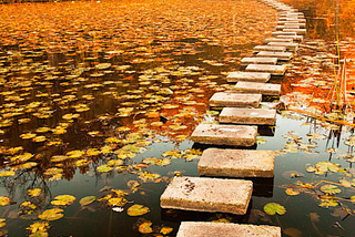 Autumn Walkway, Poland