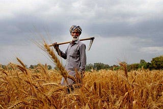 Increase in MSP for next Kharif season