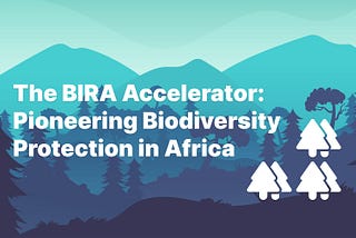 Introducing the BIRA Accelerator: A Game-Changer for Biodiversity in Africa