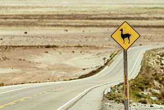 OpenLLM 101: How to Deploy LLMs with a Real API, Not Just a Toy