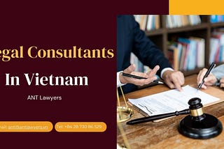 The Role of Legal Consultants in Vietnam: Specialized Research and Analysis