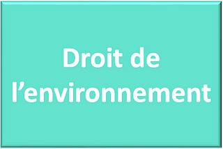 L’environnement dans le droit communautaire