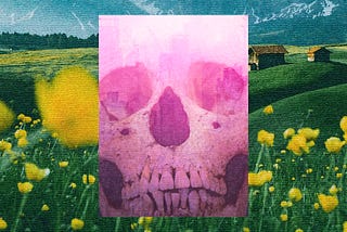 Fertile Fields