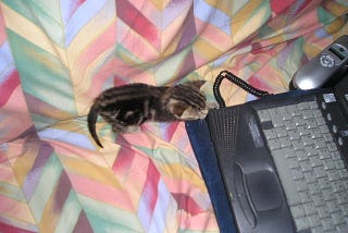 Through Thick and Thin