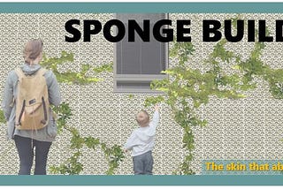 Sponge Building Project
