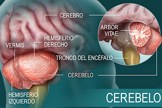 ¿Cuáles son las secuelas que pueden causar las lesiones en el cerebelo?