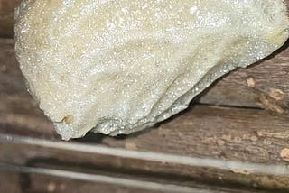 The Sacred Standstill: A Woman’s Fire, A Soul’s Fight