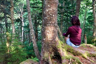 A girl in a sweater sits at the base of a tree with her back to the camera, staring out into the woods