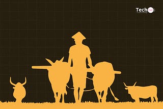 “I dream to solve farmer-herder conflicts through films” — UNESCO film winner