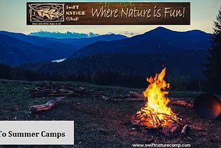 Best Summer Children’s Camps in the USA