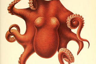 The ethics of giving octopuses party drugs