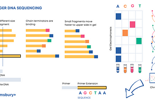 Discovering the origins of life with sequencing technologies: Next-Generation Sequencing 101