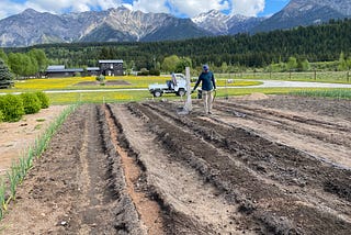 A man waters the soil with a hose while large mountains loom in the distance.