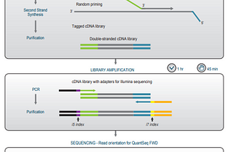 New SciDAP Application: QuantSeq™