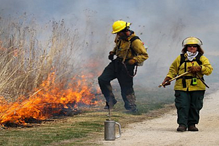 Two firemen in yellow jackets and helmets are tending to a small brush fire