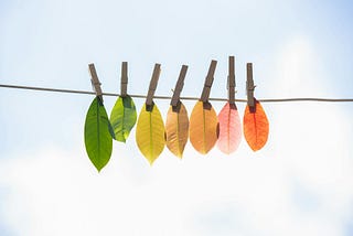 To Everything There Is A Season