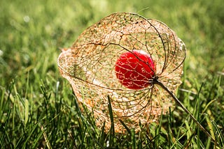 How transparent pay practices are part of ClearScore’s culture