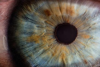 A macro photo of the human eye, showing the iris and pupil in detail.