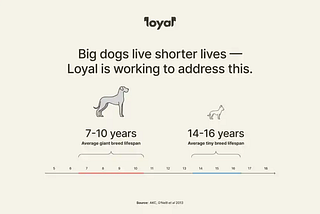 Longevity — a trend in all directions