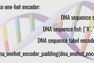 Advanced DNA Sequences Preprocessing for Deep Learning Networks