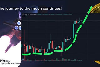 Hİ PAPP HOLDERS!