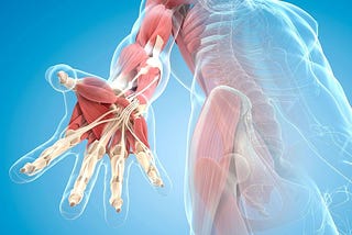 Why Fascia is one of the most important sensory organs in your body