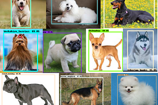 A simple Dog Breed Classifier! Can recognize 10 different breeds of dogs!