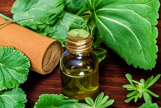Aromatherapy with geranium leaves