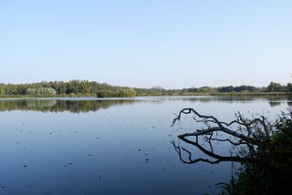 Exploring the green province of Limburg by bike