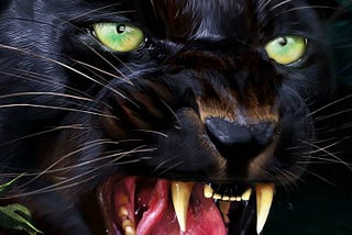 angry black jaguar