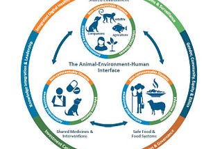 Antimicrobial-resistant bacteria in animal production