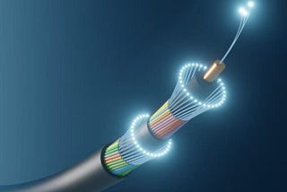 Were the 2024 Election Results Real?