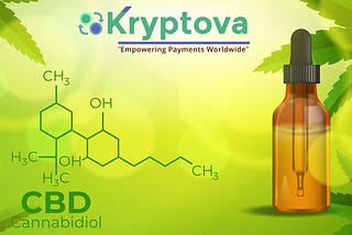 CBD Industry — Why considered as High-Risk?