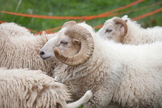 Aries 2021 Horoscope
