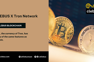 CLEBUS X Tron Network
