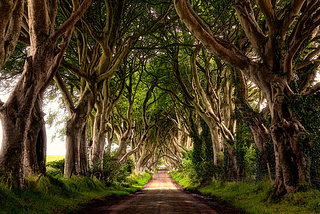 The Dark Hedges, Northern Ireland