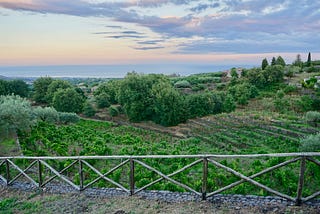 The Best Wine Tasting Tours in Sicily