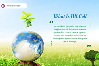 What Is NK Cell