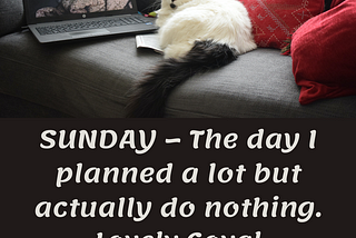 SUNDAY — The day I planned a lot but actually do nothing. Lovely Goyal