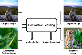 Contrastive Self-Supervised Learning Techniques