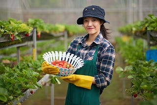 Work and Live in Regional Australia with the Subclass 494 Visa