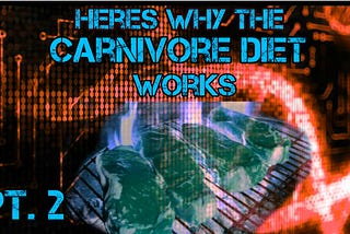 Why the Carnivore Diet works pt. 2