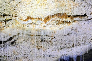 Waitomo Caves and Our First Taste of Māori Culture (Day 3)