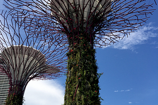 In Singapore, 2016